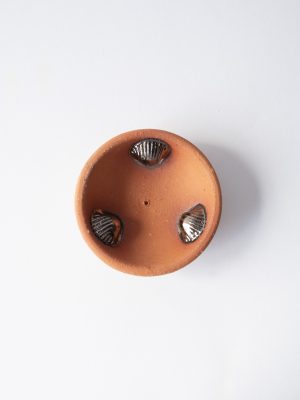 Incense dish - Cockle shell